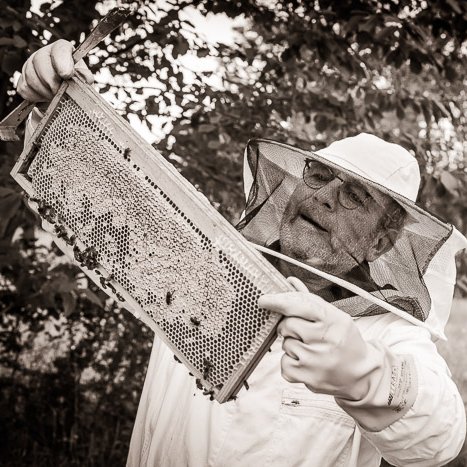 Olivier, apiculteur à La Vicomté-sur-Rance © Michel FLEURY <strong>Olivier, apiculteur à La Vicomté-sur-Rance</strong> <small>© Michel FLEURY</small>