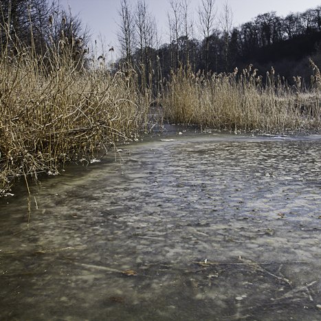 <strong>L'hiver en Rance #2</strong> <small>© Michel FLEURY</small>