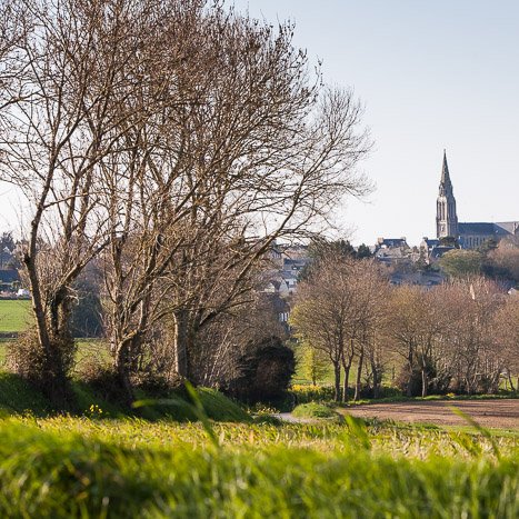 Vue champêtre sur le village de Pleudihen © Michel FLEURY <strong>Vue champêtre sur le village de Pleudihen</strong> <small>© Michel FLEURY</small>