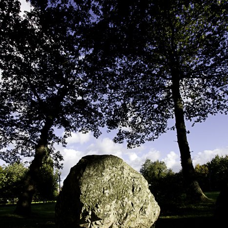 Pleslin-Trigavou, le Champ des Roches © Michel FLEURY <strong>Pleslin-Trigavou, le Champ des Roches </strong> <small>© Michel FLEURY</small>
