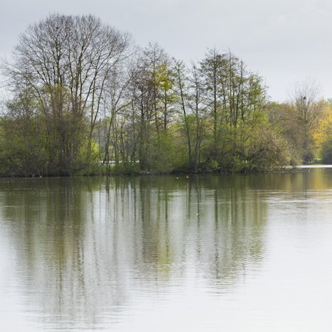 Saint-André-des-Eaux, étang de Bétineuc © Michel FLEURY <strong>Saint-André-des-Eaux, étang de Bétineuc</strong> <small>© Michel FLEURY</small>