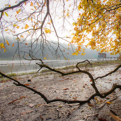 <strong>Novembre en bord de Rance</strong> <small>© Michel FLEURY</small>