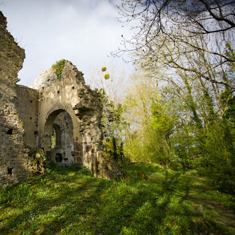 <strong>Saint-André-des-Eaux, ruines de l'ancienne église</strong> <small>© Michel FLEURY</small>