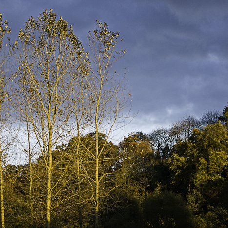 <strong>Lanvallay, lumière sur le lieu-dit Chantoiseau </strong> <small>© Michel FLEURY</small>