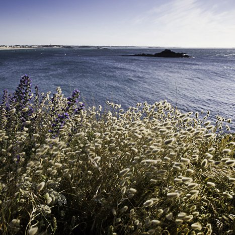 Pointe de la Varde, vue sur Saint-Malo © Michel FLEURY <strong> Pointe de la Varde, vue sur Saint-Malo</strong> <small>© Michel FLEURY</small>