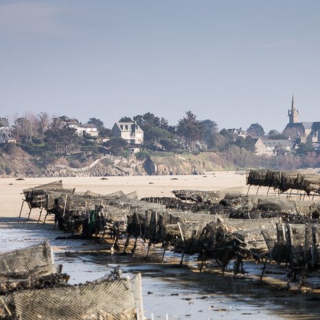 <strong>Estuaire de l'Arguenon #6</strong> <small>© Michel FLEURY</small>