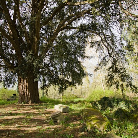 Saint-André-des-Eaux #8 © Michel FLEURY <strong>Saint-André-des-Eaux #8</strong> <small>© Michel FLEURY</small>