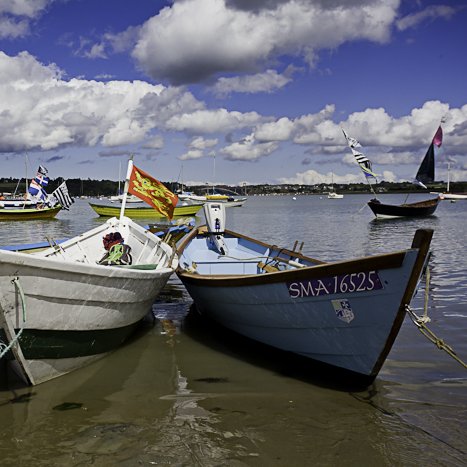 Fête des Doris, estuaire de la Rance © Michel FLEURY <strong>Fête des Doris, estuaire de la Rance</strong> <small>© Michel FLEURY</small>