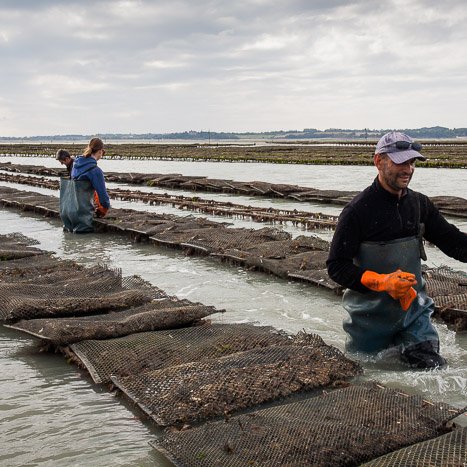 <strong>Ostériculteurs à Cancale</strong> <small>© Michel FLEURY</small>