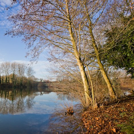 <strong>Le Frémur l'automne</strong> <small>© Michel FLEURY</small>