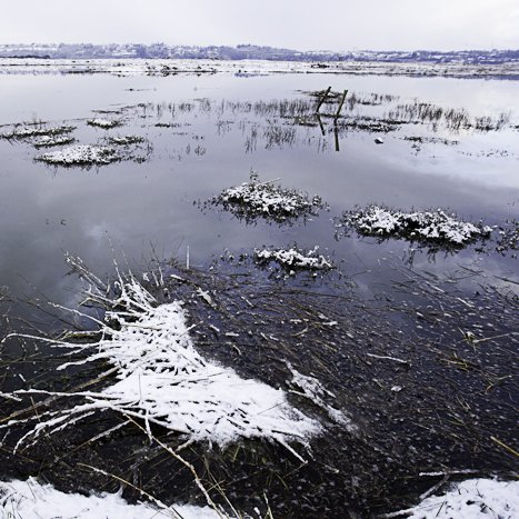 <strong>L'hiver en Rance #5</strong> <small>© Michel FLEURY</small>
