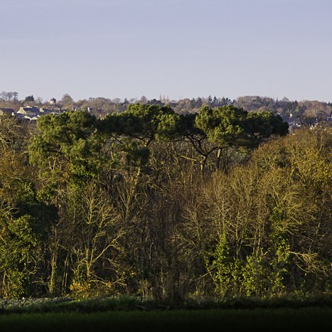 <strong>Le Minihic-sur-Rance</strong> <small>© Michel FLEURY</small>