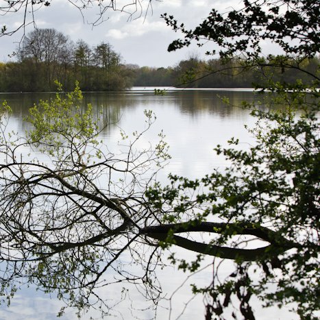 Saint-André-des-Eaux #5 © Michel FLEURY <strong>Saint-André-des-Eaux #5</strong> <small>© Michel FLEURY</small>