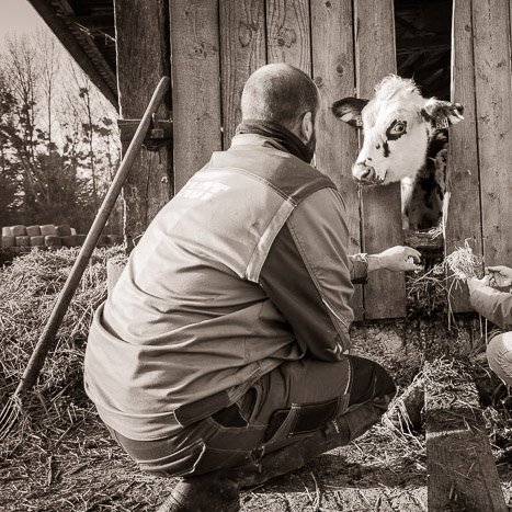 Eleveurs de saveurs gourmandes à Saint-Suliac © Michel FLEURY <strong>Eleveurs de saveurs gourmandes à Saint-Suliac</strong> <small>© Michel FLEURY</small>