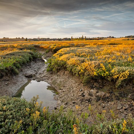 Dans les méandres, aux Bas Champs © Michel FLEURY <strong>Dans les méandres, aux Bas Champs</strong> <small>© Michel FLEURY</small>