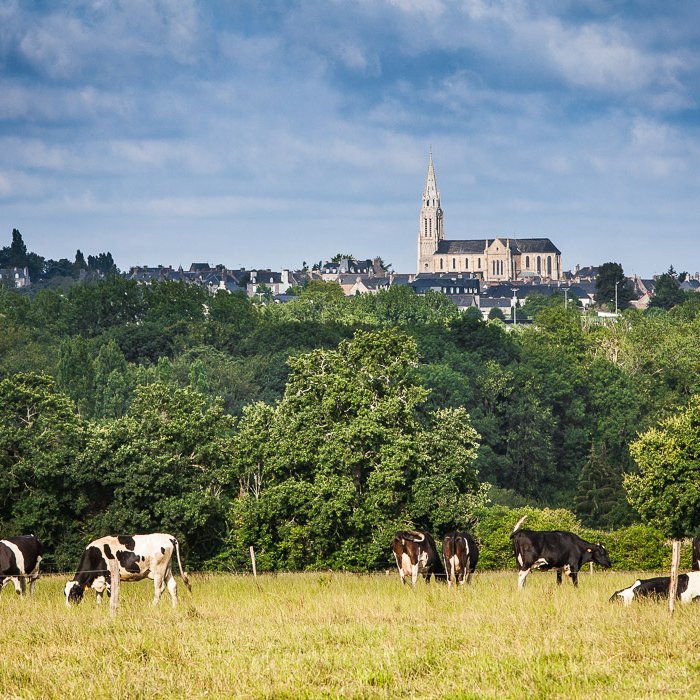 <strong>Vue sur le village de Pleudihen, l'été</strong> <small>© Michel FLEURY</small>