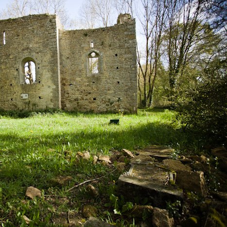 Saint-André-des-Eaux, ruines de l'ancienne église © Michel FLEURY <strong>Saint-André-des-Eaux, ruines de l'ancienne église</strong> <small>© Michel FLEURY</small>