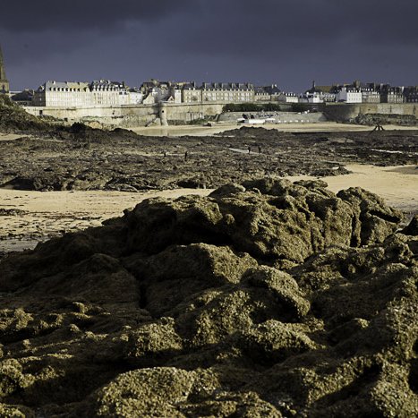 Saint-Malo, lumière sur les remparts © Michel FLEURY <strong>Saint-Malo, lumière sur les remparts</strong> <small>© Michel FLEURY</small>