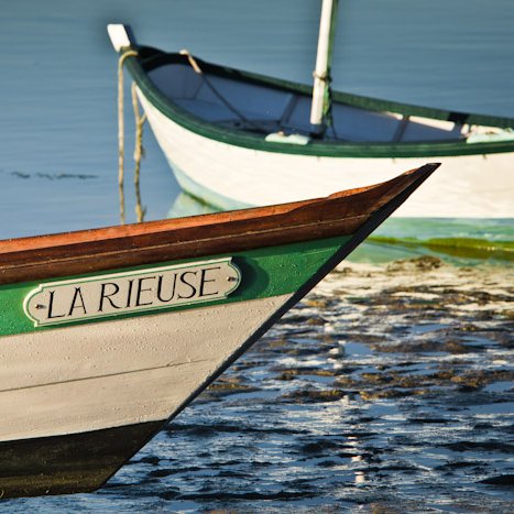 Doris en Rance © Michel FLEURY <strong>Doris en Rance</strong> <small>© Michel FLEURY</small>
