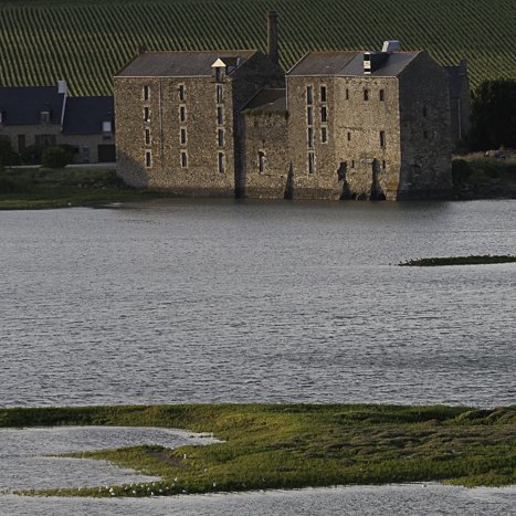 <strong>Moulin de Quinard #3</strong> <small>© Michel FLEURY</small>