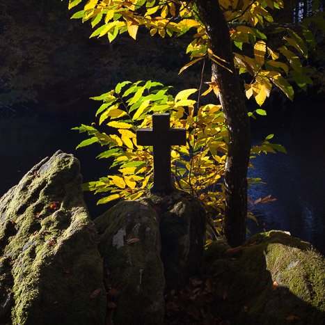 Forêt de Coëtquen, étang de La Chesnaye © Michel FLEURY <strong>Forêt de Coëtquen, étang de La Chesnaye</strong> <small>© Michel FLEURY</small>