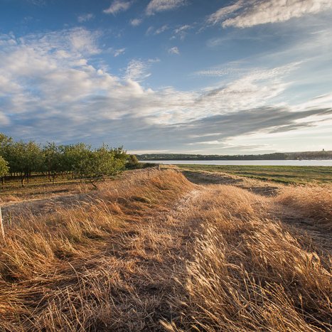 <strong>Chemin de vent -bords de Rance</strong> <small>© Michel FLEURY</small>