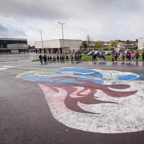Sortie (scolaire) mémorielle 2023 à Coëtquidan © Michel FLEURY <strong>Sortie (scolaire) mémorielle 2023 à Coëtquidan</strong> <small>© Michel FLEURY</small>