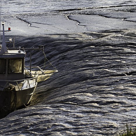 <strong>La tempête immobile</strong> <small>© Michel FLEURY</small>