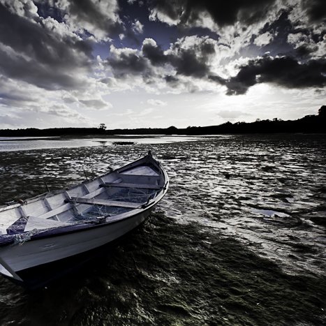 Le doris © Michel FLEURY <strong>Le doris</strong> <small>© Michel FLEURY</small>