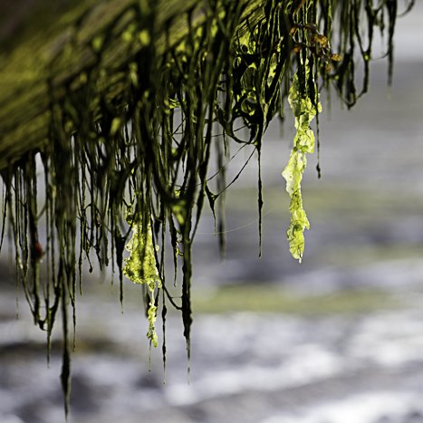 <strong>Edit 4345</strong> <small>© Michel FLEURY</small>