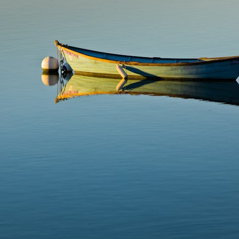 Doris au mouillage , estuaire de la Rance © Michel FLEURY <strong>Doris au mouillage , estuaire de la Rance</strong> <small>© Michel FLEURY</small>