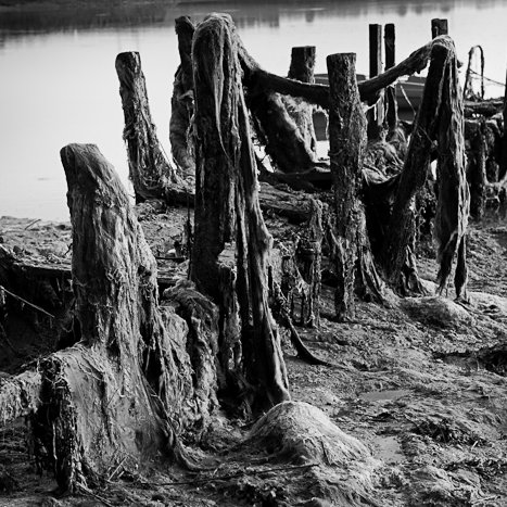 <strong>Le port oublié</strong> <small>© Michel FLEURY</small>