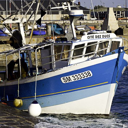 Saint-Malo, pêche à la coquille © Michel FLEURY <strong>Saint-Malo, pêche à la coquille </strong> <small>© Michel FLEURY</small>