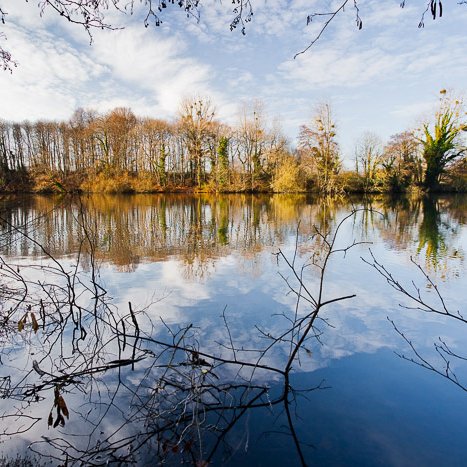 <strong>Reflet sur le Frémur</strong> <small>© Michel FLEURY</small>