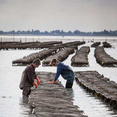 <strong>Ostériculteurs à Cancale</strong> <small>© Michel FLEURY</small>