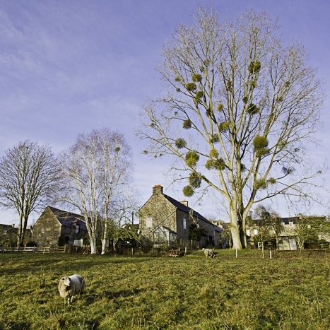 <strong>Paysage de Langrolay</strong> <small>© Michel FLEURY</small>