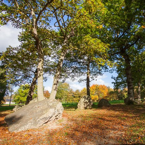 Pleslin-Trigavou, le Champ des Roches © Michel FLEURY <strong>Pleslin-Trigavou, le Champ des Roches</strong> <small>© Michel FLEURY</small>