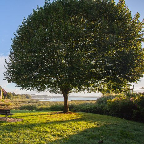 Plouer-sur-Rance, un bout du monde... © Michel FLEURY <strong>Plouer-sur-Rance, un bout du monde...</strong> <small>© Michel FLEURY</small>