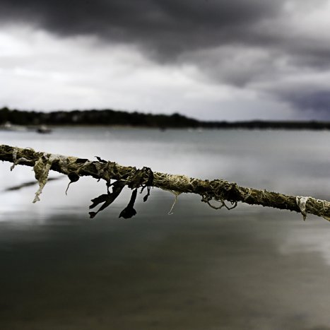 <strong>Après la pluie #1</strong> <small>© Michel FLEURY</small>