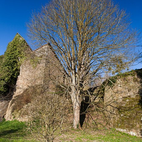 <strong>Château de Coëtquen #2</strong> <small>© Michel FLEURY</small>
