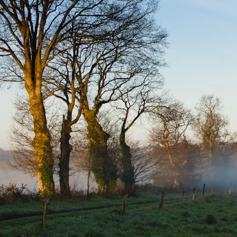 Un soupçon de brume -Pleudihen-sur-Rance © Michel FLEURY <strong>Un soupçon de brume -Pleudihen-sur-Rance</strong> <small>© Michel FLEURY</small>