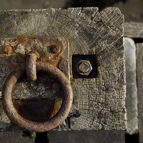 <strong>Anneau à marée</strong> <small>© Michel FLEURY</small>