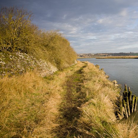 Sur les rives de Pleudihen © Michel FLEURY <strong>Sur les rives de Pleudihen</strong> <small>© Michel FLEURY</small>