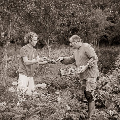 Hervé et Stéphane, maraîchers bio à Plouer-sur-Rance © Michel FLEURY <strong>Hervé et Stéphane, maraîchers bio à Plouer-sur-Rance</strong> <small>© Michel FLEURY</small>