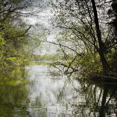 Saint-André-des-Eaux, étang de Bétineuc © Michel FLEURY <strong>Saint-André-des-Eaux, étang de Bétineuc</strong> <small>© Michel FLEURY</small>