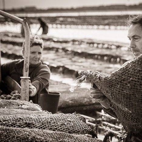 Gilles, faiseur d'huitres à Cancale © Michel FLEURY <strong>Gilles, faiseur d'huitres à Cancale</strong> <small>© Michel FLEURY</small>