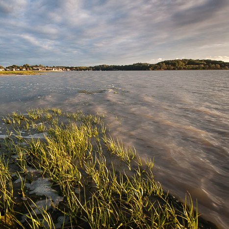 Rives de rance, un soir de marée haute © Michel FLEURY <strong>Rives de rance, un soir de marée haute</strong> <small>© Michel FLEURY</small>