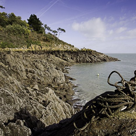 Cancale, port Picain © Michel FLEURY <strong>Cancale, port Picain </strong> <small>© Michel FLEURY</small>