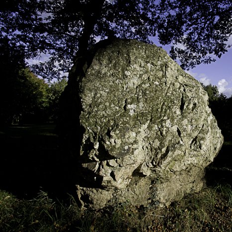 Pleslin-Trigavou, le Champ des Roches #3 © Michel FLEURY <strong>Pleslin-Trigavou, le Champ des Roches #3</strong> <small>© Michel FLEURY</small>