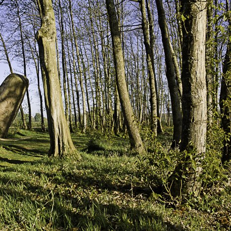 Menhir de la Tiemblais, Saint-Samson sur Rance © Michel FLEURY <strong>Menhir de la Tiemblais, Saint-Samson sur Rance </strong> <small>© Michel FLEURY</small>